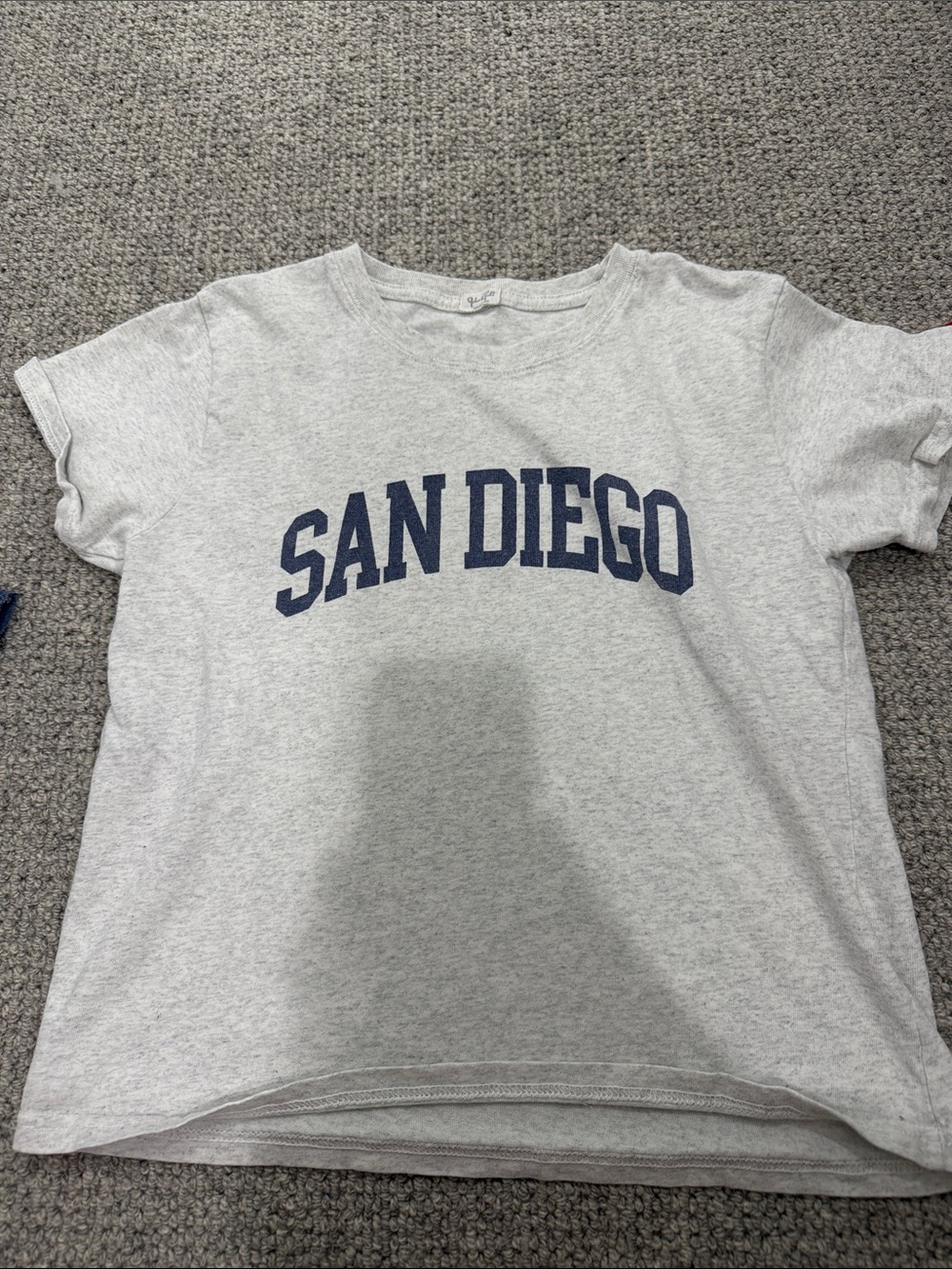 Brandy Melville Light Gray 'San Diego' Tee with Navy Print